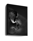 Canvas - The reflection - Admen.dk