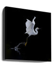 Canvas - fly - Admen.dk