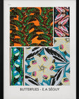 Poster - Butterflies 17