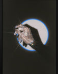 Plakat - Glitter Hand - Admen.dk