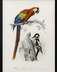 Poster - Birds II