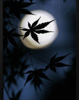 Plakat - Color of Japan - Admen.dk