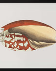 Plakat - Ethiopian Crown - Admen.dk