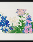Poster - Delphinium Flower