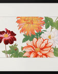 Poster - Dahlia Flower