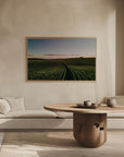 Plakat - Corn Fields 04 - Admen.dk