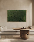 Plakat - Corn Fields 01 - Admen.dk