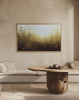 Plakat - Morning Grass Filelds 12 - Admen.dk