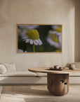 Plakat - Summer Flowers 7 - Admen.dk