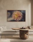 Plakat - Summer Flowers 79 - Admen.dk