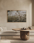 Plakat - Apple Trees 01 - Admen.dk