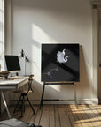 Canvas - fly - Admen.dk