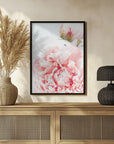 Poster - Blush peony IX