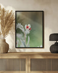 Plakat - Red Flowers 50 - Admen.dk