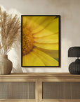 Plakat - Summer Flowers 42 - Admen.dk