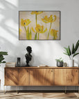 Plakat - Flowering tulips