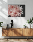 Poster - Blush peony VI