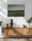 Plakat - Corn Fields 04 - Admen.dk