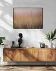 Plakat - Morning Grass Fileld 01 - Admen.dk