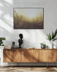 Plakat - Morning Grass Filelds 12 - Admen.dk