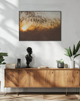 Plakat - Morning Grass Filelds 13 - Admen.dk