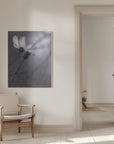 Canvas - Cosmos - Admen.dk