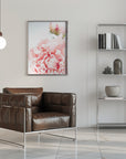 Poster - Blush peony IX