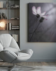 Canvas - Cosmos - Admen.dk
