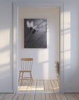 Canvas - Cosmos - Admen.dk