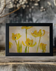 Plakat - Flowering tulips