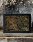 Plakat - Autumn Forest 10 - Admen.dk