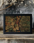Plakat - Autumn Forest 15 - Admen.dk