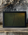 Plakat - Corn Fields 05 - Admen.dk