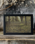 Plakat - Dreamy Forest - Admen.dk