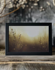 Plakat - Morning Grass Filelds 12 - Admen.dk