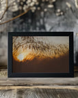 Plakat - Morning Grass Filelds 13 - Admen.dk