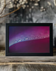 Plakat - Pink Flowers 22 - Admen.dk