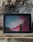 Plakat - Pink Flowers 011 - Admen.dk