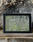 Plakat - White Flowers 04 - Admen.dk