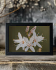 Plakat - White Flowers 10 - Admen.dk