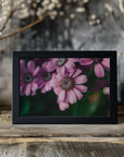 Plakat - Summer Flowers 99 - Admen.dk