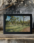 Plakat - Apple Trees 03 - Admen.dk