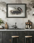 Plakat - Black Swan - Admen.dk