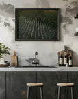 Plakat - Corn Fields 03 - Admen.dk