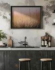 Plakat - Morning Grass Fileld 01 - Admen.dk