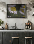 Plakat - Summer Flowers 7 - Admen.dk