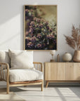Plakat - Plants and Flowers 05 - Admen.dk
