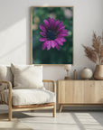 Poster - Purple Flowers 07