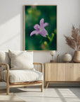 Plakat - Purple Flowers 12 - Admen.dk