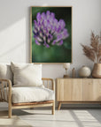 Plakat - Purple Flowers 01 - Admen.dk